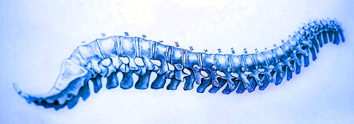 Chiropractic Marinette WI Spine Drawing Blue